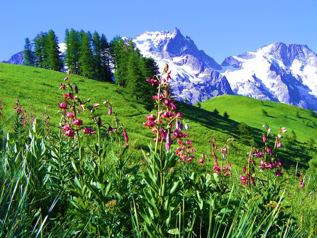 Hotel Biancaneve Sauze D'Oulx