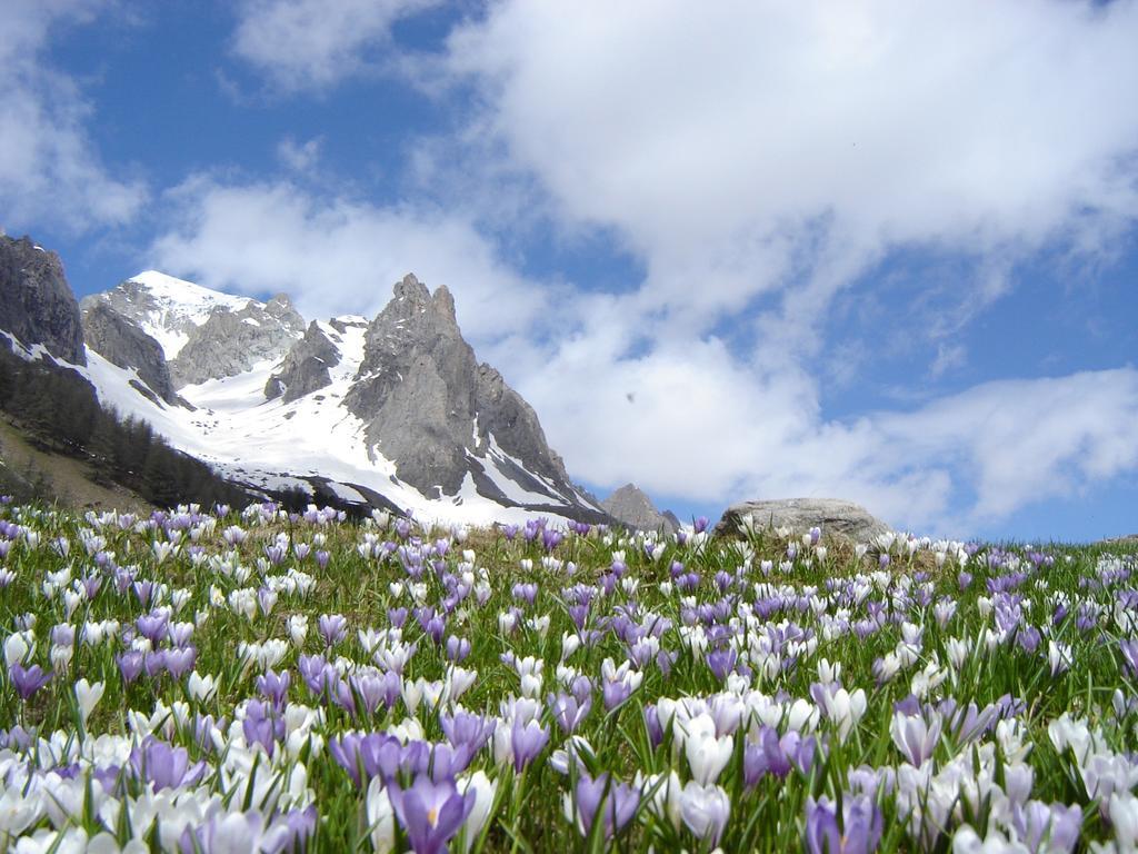 Biancaneve 2* Sauze D'Oulx